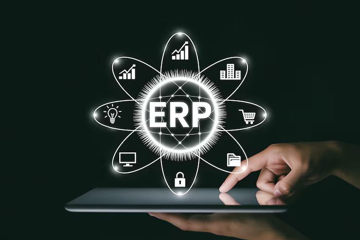 Enterprise Resource Systems