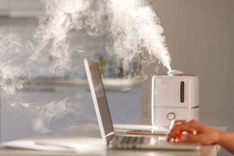 Humidifiers: Complete Guide to Basics, Benefits, Tips, Insights, and Healthy Air Information